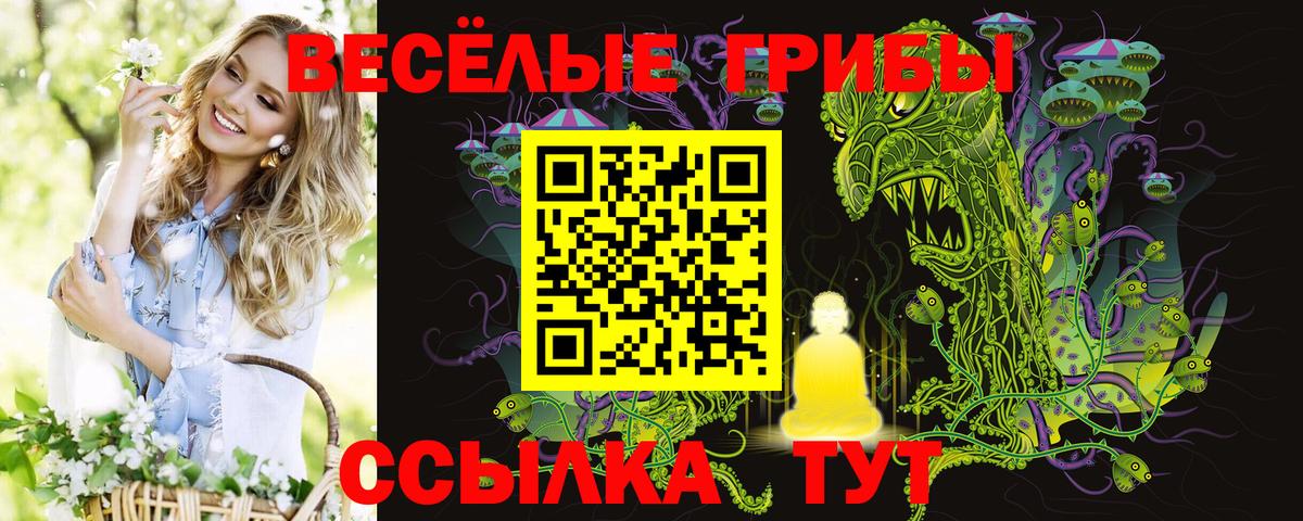 Псилоцибиновые грибы прущие грибы Элиста