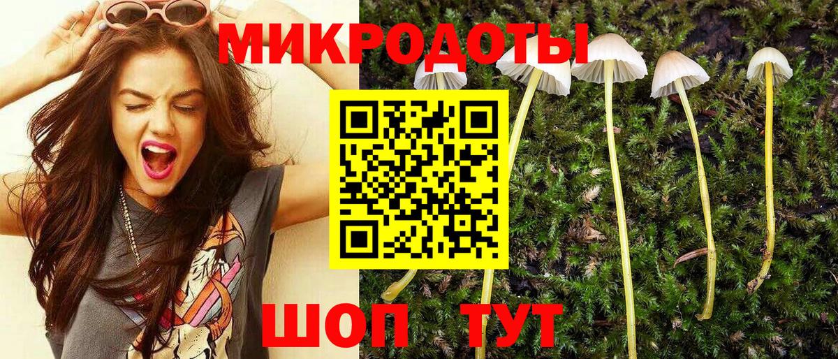 Элиста  Псилоцибиновые грибы ЛСД  Вход с VPN 