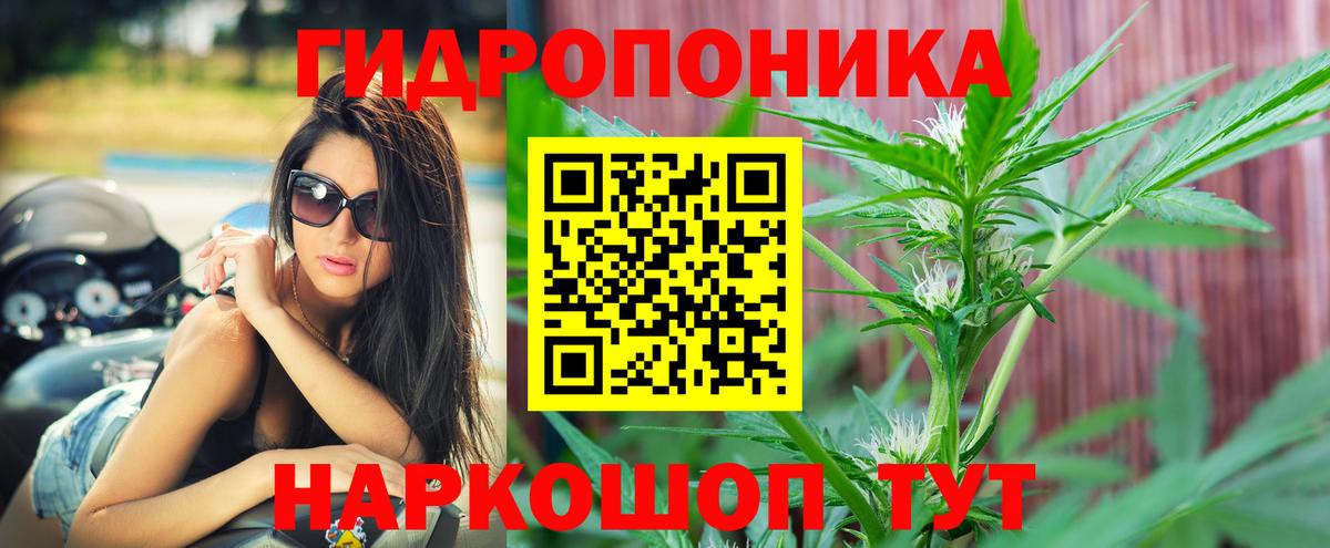 Альфа ПВП СК   Марихуана  Гашиш  Элиста  Вход с VPN  COCAIN  Меф  Меф кристаллы  Конопля 